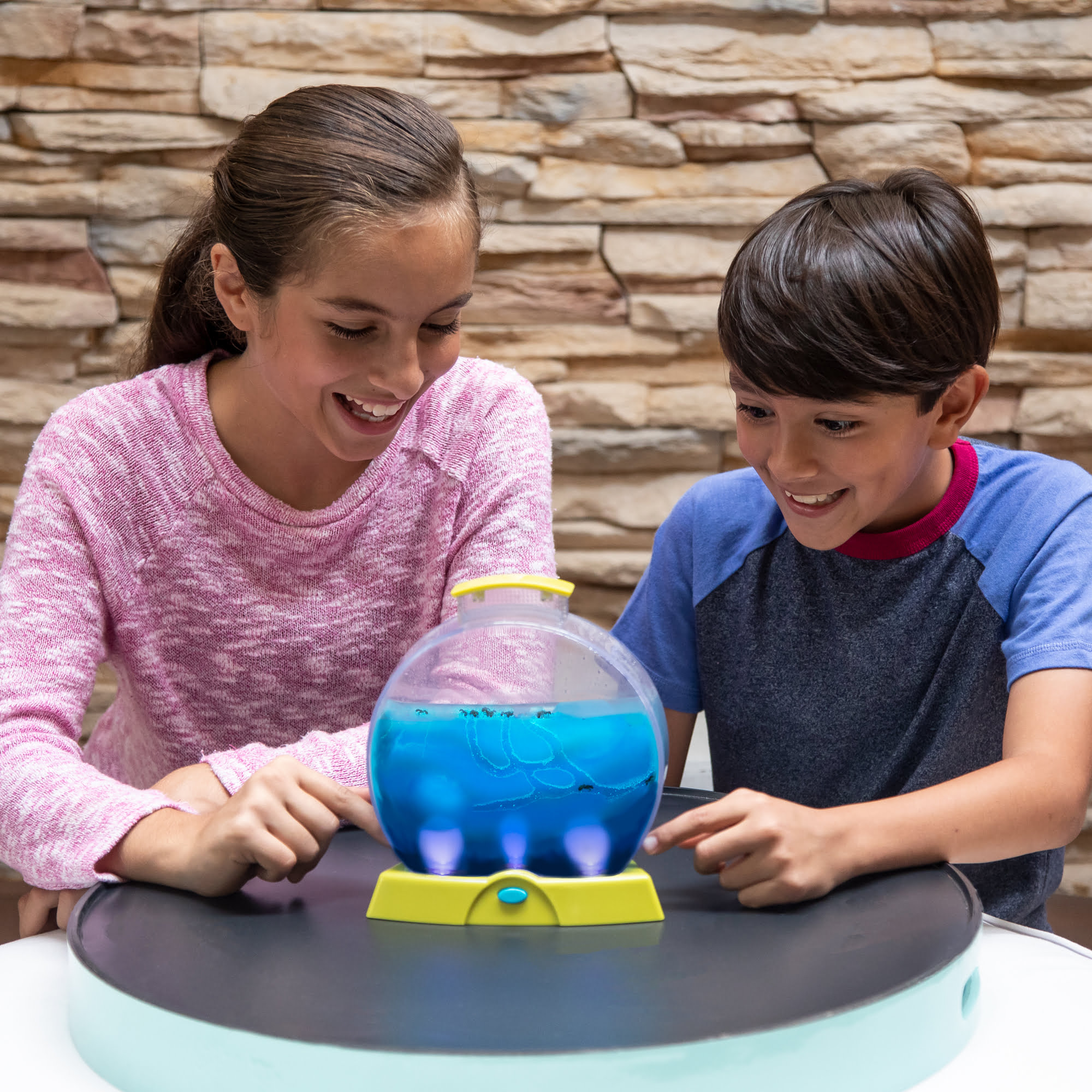 5144-daynnight-ant-factory-7363