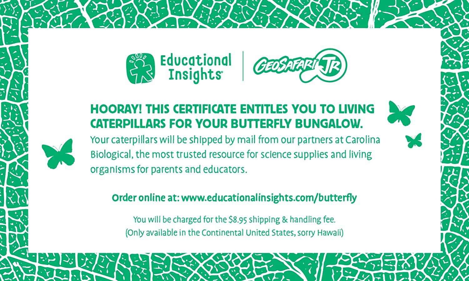 71NoEni2ztL._AC_SL1500_